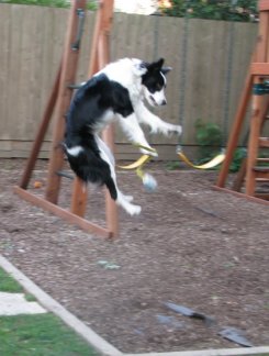 Hi Flyer