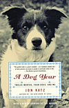 A DOG YEAR