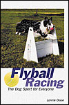 FLYBALL RACING