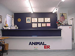 ER