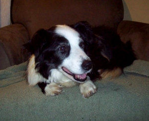 Sophie