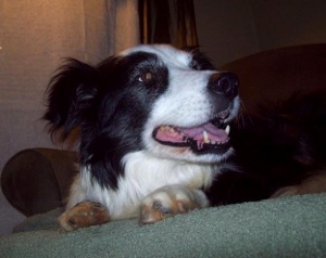 Sophie