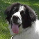 Samson was adopted in August, 2006