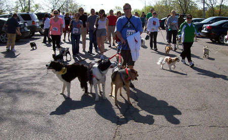 At the 2010 Chicago Bark in the Park walk with John, Wyatt, and foster brother Sonic. 