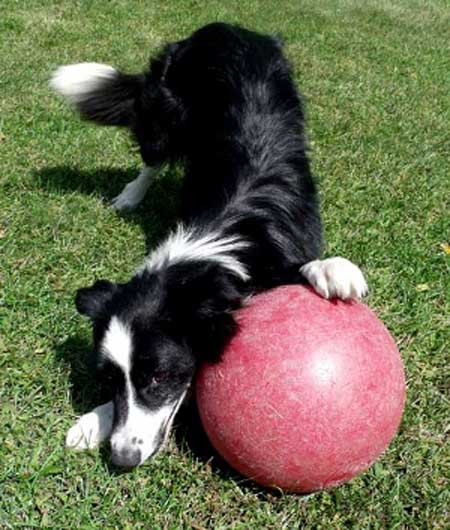 Just a guy and his big red ball....