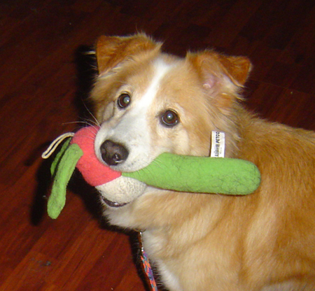 This toy right here?  Destroyed less than five minutes later.  I'm good. 