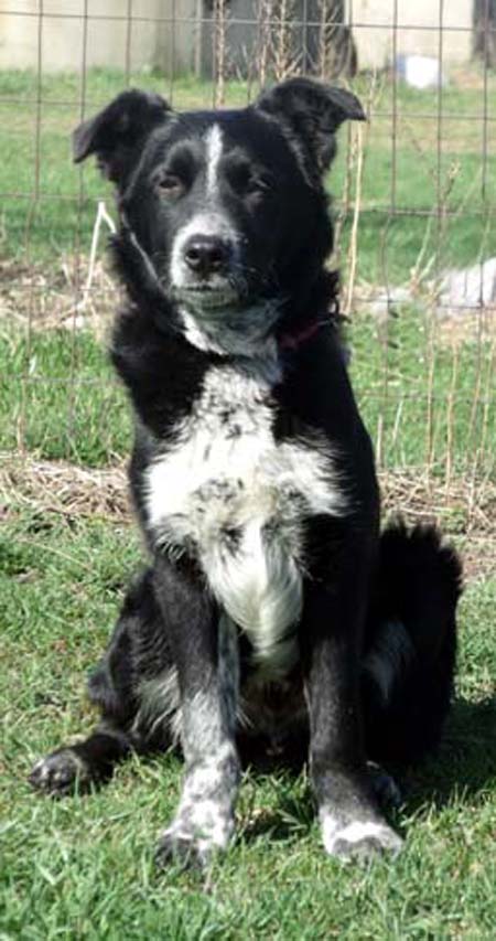 This is my glamor shot - check out my spotty feets!