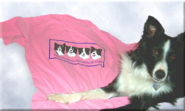 Crunchberry Tee